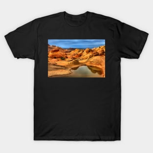 Reflections Of The Petrified Dunes T-Shirt